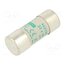 442150 Fuse: fuse; 50A; 690VAC; aM; ceramic,cylindrical,industrial ObwMPq-AQFLKDnY-ZMqSfavKq17hYYpIYMJxX29bRpk