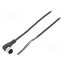 XZCP1241L2 Cable: for sensors/automation; M12; PIN: 4; angled; 2m; plug; 250VDC plKaykEd6aR4faP_ylYxPlDlWNGmtM-GL0a28x81Itw