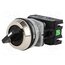 NEF30-TPASXY Switch: rotary; 30mm; Stabl.pos: 2; NC + NO; black; IP56; NEF30 s440bHW1VZp2rU_ve1KUCzVmoW4gHLsJiB0OyMpgnD0