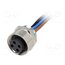 21043162401 Connector: 7/8"; socket; 0.5m; female; PIN: 4; straight; with leads 3N_1PAhGhY2J_cm3A6z2-8xkWZ7ib5Gjyvu0aqE0BfM