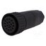 933068100 CM 06 EA 20-29 S Connector: circular; plug; CM; IP67; PIN: 17; Plating: silver plated 0t5Jjpedq79JlHPVZYzQhm_hLKL5Fxp7jsclNt0Z-c4