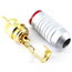 PLUG RCA professional metal /red, Gold CKI154R+1.jpg