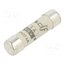 420501 Fuse: fuse; 1A; 400VAC; gG; ceramic,cylindrical,industrial; 8x31mm cF_5nmhlbacHNN5ff6gu1uGppRvx3XAbIYkm9qLk6Pk
