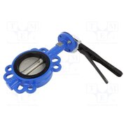 FMP DN100 NBR Inter-flange flap valve; cast iron; NBR; max.16bar; -20÷120°C XaN9lZl5tdKAHS8pI5sgpQFCAXbkPqLZQrG5cabOwgw