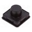 1241.1022 Switch: keypad; Pos: 2; SPST-NO; 0.05A/24VDC; none; Leads: for PCB CV7hMfy0pnccjoijVcg00gXnRrvAIlaxC4ScbvSYf_o