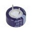 BCE005R5C334FBS Supercapacitor; THT; 0.33F; 5.5VDC; ±20%; Ø13.5x7.3mm; -25÷70°C sPrae5AEb20Tl5tD0joP7hsnV5NoSUSyy9p3M3H_hfU