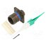 D38999/20WB35PN Connector: military; socket; male; PIN: 13; straight; crimped; 5A GufmPV8U_yDojw_3lSx53cIVtUDY43i83-Cqpj9iI0k