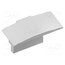 PA-ZASGLAXMW-00 Cap for LED profiles; silver; 10pcs. BjxrBFsIMCo4VZMuHhomNxuL1QHXOXvDwl5tZ5UjUnc