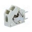 254-843 Connector: PCB terminal block; terminal; 254; 24A; 320V; on PCBs ac5gmYtmSf7_0fIkgBDtXZ_QCHf0QU2je7ekDkEy8aQ