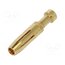 16A-GF-1.5 Contact; female; copper alloy; gold-plated; 1.5mm2; 16AWG; bulk Vql9XcQqdzqrqejUZoRrG32URq0aoEuGIS2zJ0va-Hw