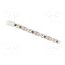 S005060DA4SA1/C3 Programmable LED tape; RGBW; 3535; LED/m: 60; 5mm; white PCB; IP20 S0aHRFIpHskcN4eJdWRdr1gLm0885nRVzn1T1rYn6xw