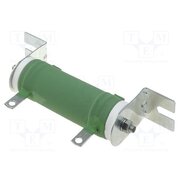 QL0050J0101000 Resistor: wire-wound; 100Ω; 50W; ±5%; Ø31x75mm; 300ppm/°C Us2AxpBCq1YaSkecdxNVEGvx9B77UWI68EGimjEHXFI