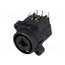 FC2430 Connector: Jack 6,3mm + XLR; socket; female; angled 90°; THT 7BwMVZ0sS225Yxd2gt81tQqT0dRGgCFmJ5mYlQSWTSA