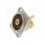 LIZDAS RCA gold/baltas, Neutrik NF2D-9 CLI376B+1.jpg