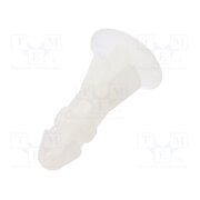 8G820V40580 Assembly stud; polyamide; L: 10mm; latch/latch; Ø2: 5.4mm; Ø1: 4mm BC5xShOvMxxHXD7o8Sx3hXzUFzXenKfROy6WJWx-c6c