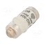 LE1850 Fuse: fuse; 50A; 400VAC; 250VDC; gG,time-lag; D02 -bdzViM_Cf2Diuqoe0eIxrr28cW-_BXahtXzp83oYFU