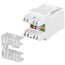 LIZDAS CAT5E, panelinis, RJ45 (8P8C), 100MHz, KeyStone, CRO316 panelei CLI927+1.jpg