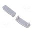 PA-ZASGLAXNK-00 Cap for LED profiles; silver; 10pcs. GynYCaqwqgHDV-LvTqwCwVylnsaBMi22hKBCcLFeNIc