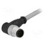 21348600C79050 Connector: M12; plug; male; PIN: 12; angled 90°; cables; 5m qYgS4WU15NV5y3UaziZTym_0MIkaxmHBgUYQDTInhKw