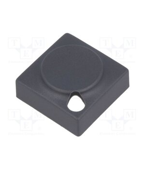 829.000.021 Button; rectangular; grey; polyamide; 15.5x15.5mm U4mxvp2wH5OmhZvMgiHzwZo6BJKZSxxk1DSRri3rLBg