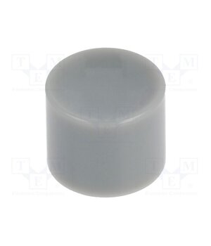 KM 407 Button; Illumin: none; Body: grey; ABS; MPA ZBaiCFt8gBCftr4uL2WZhR9cJzpz3O-DkVjPmgPKerY