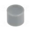KM 407 Button; Illumin: none; Body: grey; ABS; MPA ZBaiCFt8gBCftr4uL2WZhR9cJzpz3O-DkVjPmgPKerY