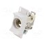 002222011 Fuse base; D02; for DIN rail mounting; 63A; 400VAC; Poles: 1 tITYV3ZK6Wek57Oo9DO5HY_BlEvEIyeX1u5yFjIyRHM