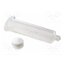 955-NW Syringe body; 55ml; natural; Luer Lock; 50pcs. LbINbrDgTZhETMoBTUQnL_oJ4yHgP3z_ymzfxVJf4XI