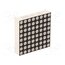 FYM-12881BUA-11 Display: LED; matrix; 8x8; amber; 40÷150mcd; anode; 32x32x8mm f69ChDb7iUibS1speHIIW-0DUVrbBG5RXVRRvZ5GjIA