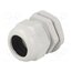 RNPG-29 Cable gland; PG29; IP65; polyamide; grey _ux8gYCgaoY7rdjPXpVoAw3JhclhPdOGxwf1mIx3ohQ