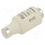 DIIFK50V20 Fuse: fuse; 20A; 500VAC; 500VDC; gG; industrial; DII 2qBKXn0q4mjMVNBAnnd1u_a261wM5q3x2BpdCbZV1c0