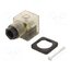 CEP/2 L 220 Plug for coil; PIN: 3; natural (transparent); 230V; A: 27mm; B: 28mm ZHEGXg9NJuAuOOXv-x53-KBGKbdPolLcIx437FlIgWo