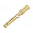 13163800 Contact; female; gold-plated; 1.5mm2; turned contacts; bulk NKj1oUwHkptEVxGjsNw4tTzJeu1o3AjAaQTka2aNGIA