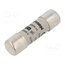 FR14GG69V10 Fuse: fuse; 10A; 690VAC; 250VDC; gG; 14x51mm ntb23u8vQ9BrP-LoLn-PbTrN37UUJP8iqb87AQMRBNc