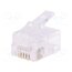 MP0019 Connector: RJ12; plug; PIN: 6; unshielded; gold-plated; 6p6c; male zFzfwQnVNskBBXp4-z8fMkBRaQrjzmgiVDBJE3os4ng