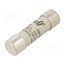 421204 Fuse: fuse; 4A; 500VAC; 440VDC; gG; ceramic,cylindrical,industrial jMVSfwRWY49fuJqOSmShzIRalkNk5z8x7OwYmomUjgA