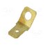 140814-1 Terminal: flat; 6.3mm; 0.8mm; male; M4; screw; brass; angled 45° -4qi4s5DCkrSYXmejyIwbqIuD6dI4FBgd27Xy8ESqk0