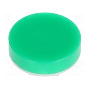 AT4054FJ Cap; Ø19x9mm; green-white; LB Panel Seal fv9fy0gPxPsxDyoolTV1pll0vAq3C3KPdkwoPAX7suQ