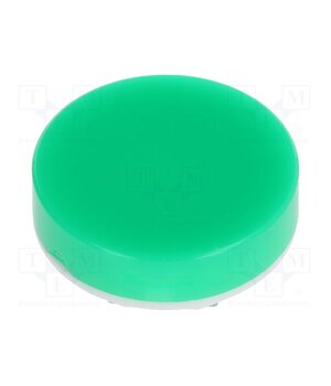 AT4054FJ Cap; Ø19x9mm; green-white; LB Panel Seal fv9fy0gPxPsxDyoolTV1pll0vAq3C3KPdkwoPAX7suQ