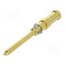 09152006125 Contact; male; copper alloy; gold-plated; 0.75mm2; 18AWG; crimped stHAyia1jHTuMsRRnCAEnIP8MmqSqP2qcciSJdmmzHg