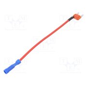 ANM-W-10A-16R Fuse: fuse; 10A; 32VDC; automotive; 10.9mm; Mini 0ZFiWuV6FHcluNywa4zZ930MUtBHRCxRAZ_Bc1Bw54o