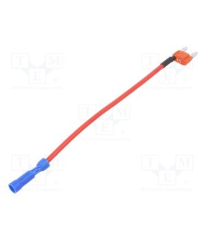 ANM-W-10A-16R Fuse: fuse; 10A; 32VDC; automotive; 10.9mm; Mini 0ZFiWuV6FHcluNywa4zZ930MUtBHRCxRAZ_Bc1Bw54o