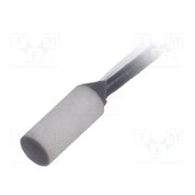HEL-705-T-0-12-00 Sensor: temperature; Pt100; 100Ω; Body dim: Ø2.18x4.75mm VFNxczqFXAG83vyZFFShlQXYDcNkh6HYh5ZRNjZkmxw