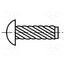 1360914 Screw rivet pin; hardened steel; BN 896; L.rivet: 6.35mm A2vVbiqAr6rM9Qam9xHOG14i__a7al6quQq6QRwnvJg