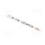 S005030DA4SA1/C1 Programmable LED tape; RGBW; 3535; LED/m: 30; 5mm; white PCB; IP20 4XqjNo91K1pBlIW5Gm_GeEaPc65b_VaC4_NQJagJN08