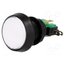 910-2-10-1C2 24V LED WHITE Switch: push-button; Pos: 2; SPDT; 10A/250VAC; ON-(ON); Illumin: LED _He0U62oOHWX4ISAX0wdd-ueh4jPM_Cz_r_ykA5Ogf4
