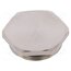 19000005072 Protection cap; metal; Thread: M32; Spanner: 35mm; with seal b3HLO2NKXoNwMkri05QZAD4tcVlA0g-XxRlOg4oP2BA
