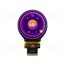 NHD-2.1-480480AF-ASXP Display: TFT; 2.1"; 480x480; Illumin: LED; Dim: 58.18x60.71x2.26mm CylQ6MK9xx1wJl6T102g-tSYBMDW6Wdshqg9xJN59YM