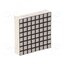 FYM-12883BUHR-11 Display: LED; matrix; 8x8; red; 30÷60mcd; anode; 31.7x31.7x8mm SXwTH1GGat28Dzz8z5VCPSVfgP_lK1IlsbfsPdl1brY