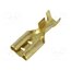 3670.11.00.9 Terminal: flat; 9.5mm; 1.2mm; female; 3÷6mm2; crimped; for cable m9G4k-6nZOmILJCtDgKiZsbqRwhwIZkN1pqV1WW_WnQ